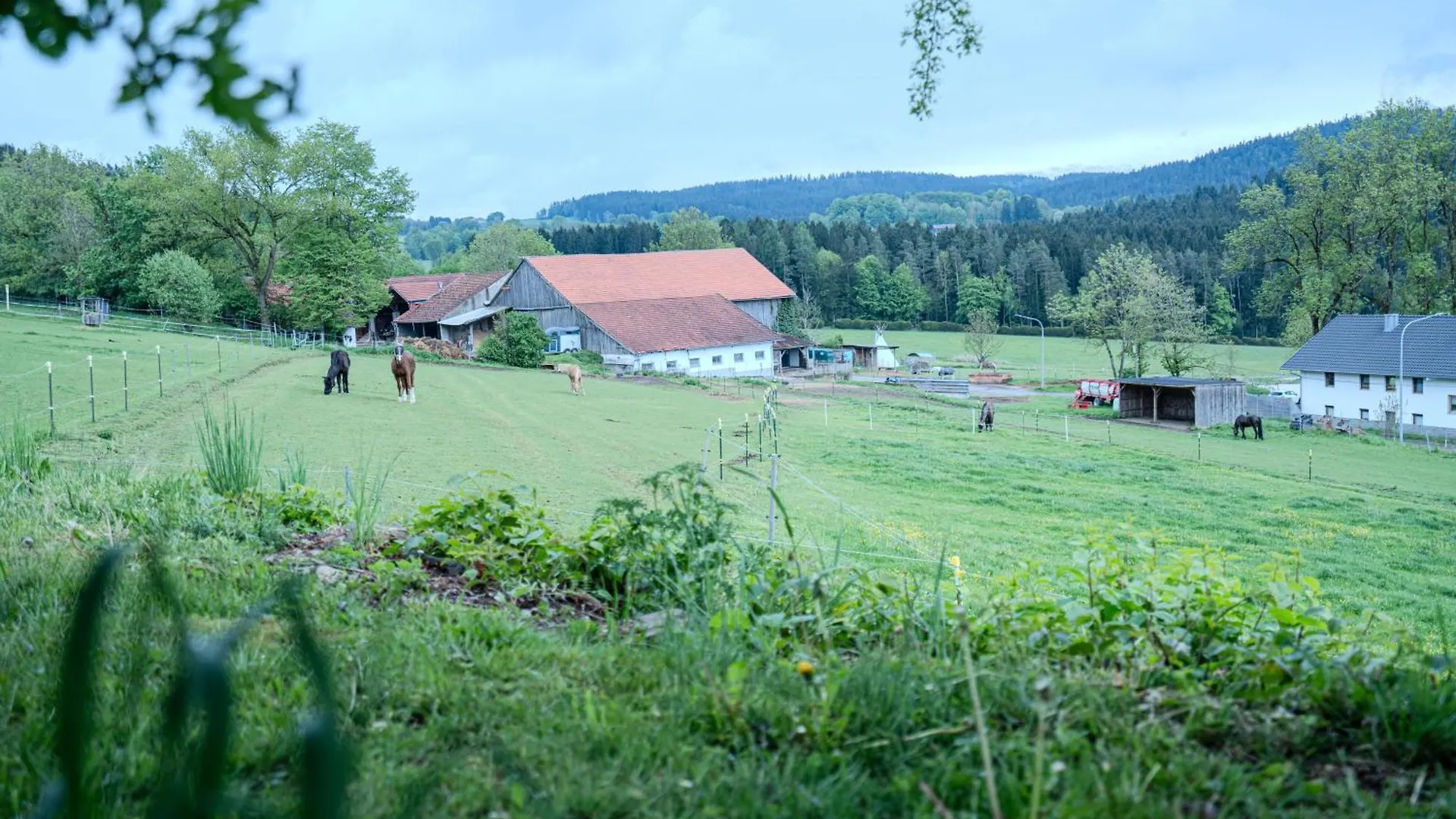 Διαμέρισμα Sauna Und Wandern Im Bayernwald Regen Γερμανία
